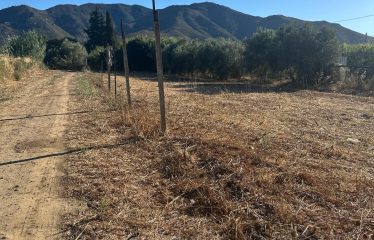 Muravera terreno agricolo