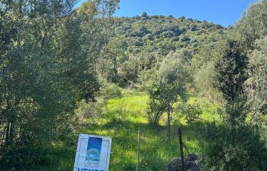 SAN VITO TERRENO AGRICOLO