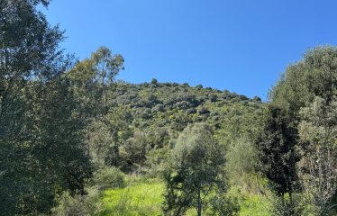 SAN VITO TERRENO AGRICOLO