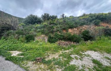 MURAVERA TERRENO EDIFICABILE DI 1.000 MQ