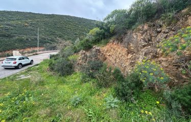 MURAVERA TERRENO EDIFICABILE DI 1.000 MQ
