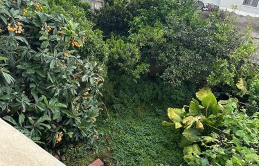 APPARTAMENTO CON CORTILE E POSTO AUTO