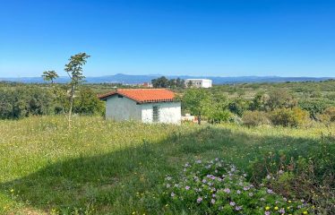 CASA AGRICOLA CON AMPIO TERRENO PANORAMICO