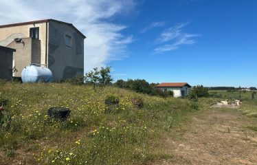 CASA AGRICOLA CON AMPIO TERRENO PANORAMICO