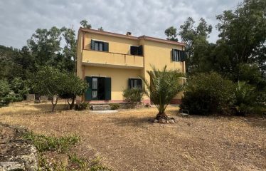 CASA INDIPENDENTE CON GIARDINO SU QUATTRO LATI