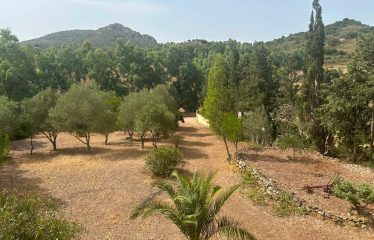 CASA INDIPENDENTE CON GIARDINO SU QUATTRO LATI