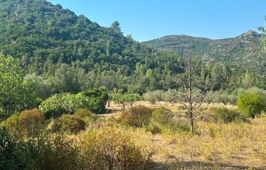 TERRENO AGRICOLO DI 35 ETTARI
