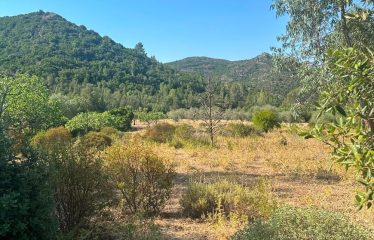 TERRENO AGRICOLO DI 35 ETTARI