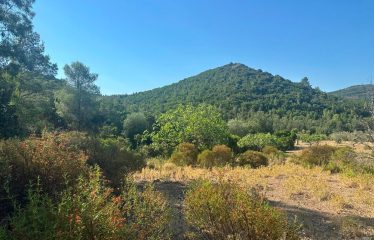 TERRENO AGRICOLO DI 35 ETTARI