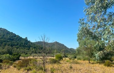 TERRENO AGRICOLO DI 35 ETTARI