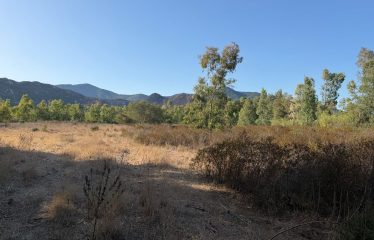 TERRENO AGRICOLO DI 8446 MQ