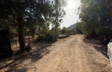 TERRENO AGRICOLO DI 8446 MQ
