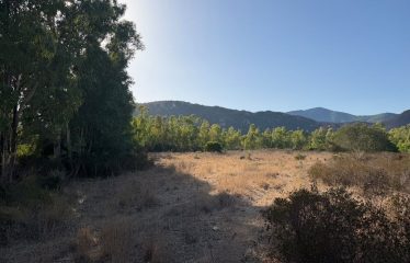 TERRENO AGRICOLO DI 8446 MQ