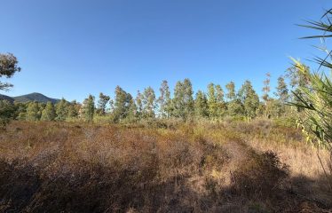TERRENO AGRICOLO DI 8446 MQ