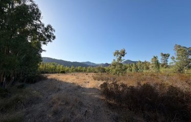 TERRENO AGRICOLO DI 8446 MQ