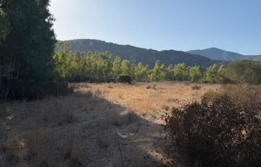 TERRENO AGRICOLO DI 8446 MQ